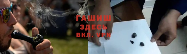 гашик Чита