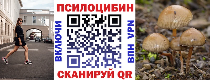 даркнет состав Старица Псилоцибиновые грибы MAGIC MUSHROOMS гидра вход
